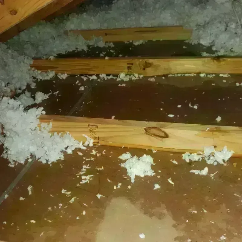 Attic Water Damage in Donaldsonville, LA